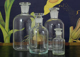 Science Apothecary Jar - Clear