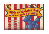 Modelling Balloons Set