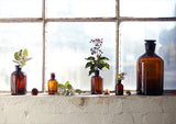 Science Apothecary Jars - Amber