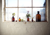 Science Apothecary Jars - Amber
