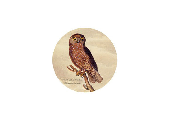 Owl Glass Paperweight - Medium