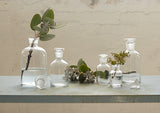 Science Apothecary Jar - Clear