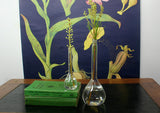 Science Balloon Flask