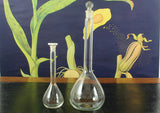 Science Balloon Flask