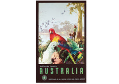 Australia Vintage Poster - Parrots